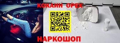амф Кингисепп