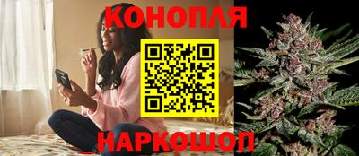 амф Кингисепп