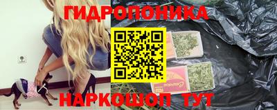амф Кингисепп