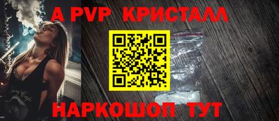амф Кингисепп