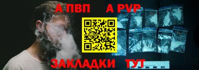амф Кингисепп