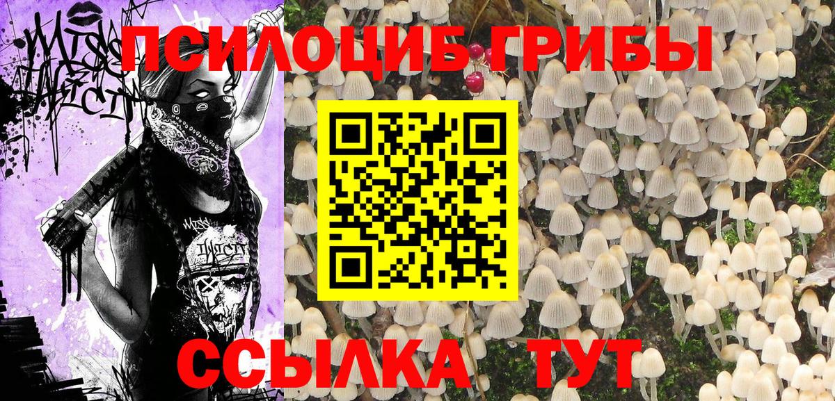 Псилоцибиновые грибы прущие грибы Глазов